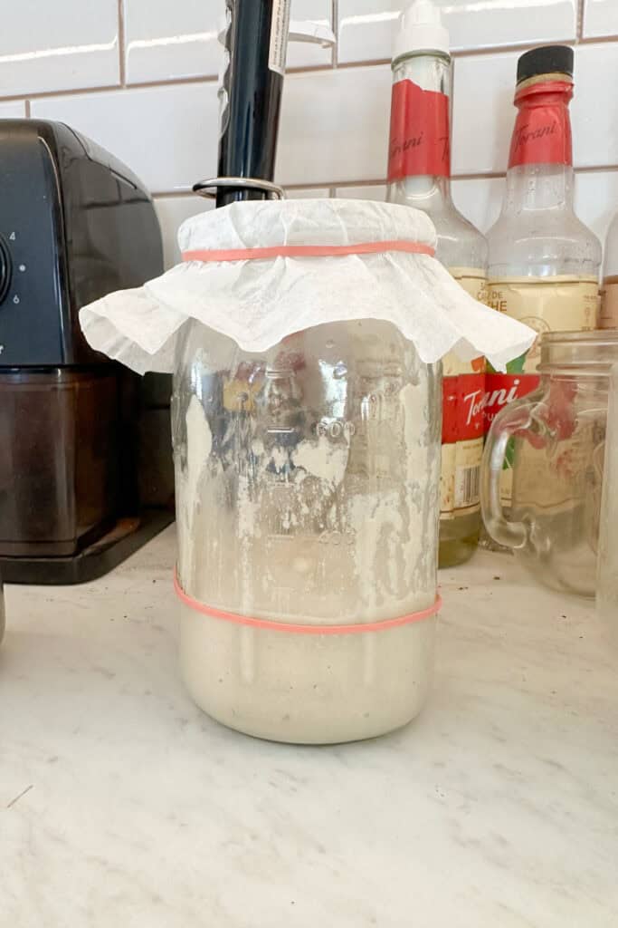 picture of a jar covered with a coffee filter, inside is sourdough starter from scratch