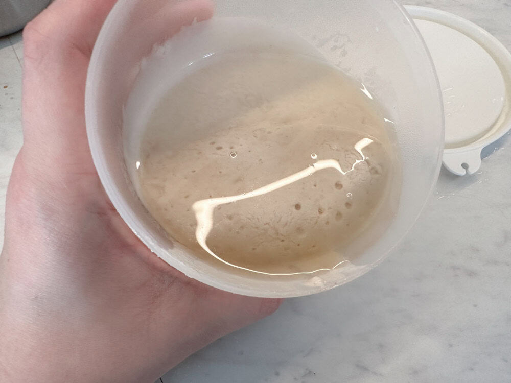 Troubleshooting Sourdough: Your How to Guide!