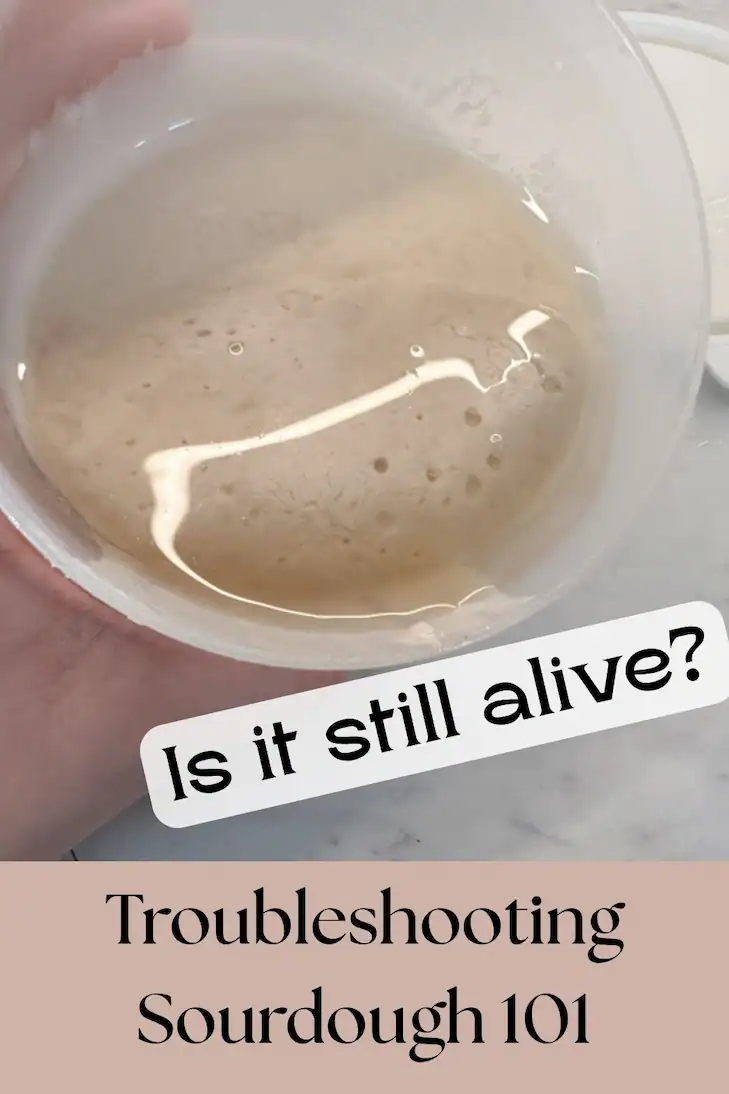Troubleshooting Sourdough 101 with a question stamped over the picture of a sourdough starter with a hooch: "Is it still alive?"